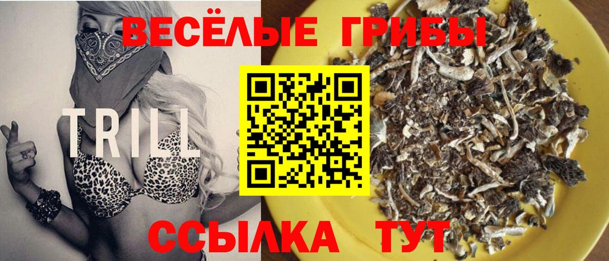 Галлюциногенные грибы Magic Shrooms Топки