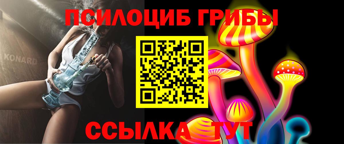Топки  Галлюциногенные грибы Psilocybe  где найти   Вход с VPN 